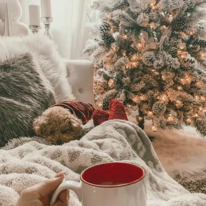 🎄daily christmas🎄