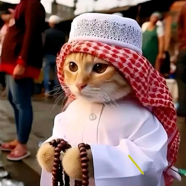 𝐋𝐮𝐭𝐟𝐢𝐚𝐧.𝐬𝐡𝐨𝐩01