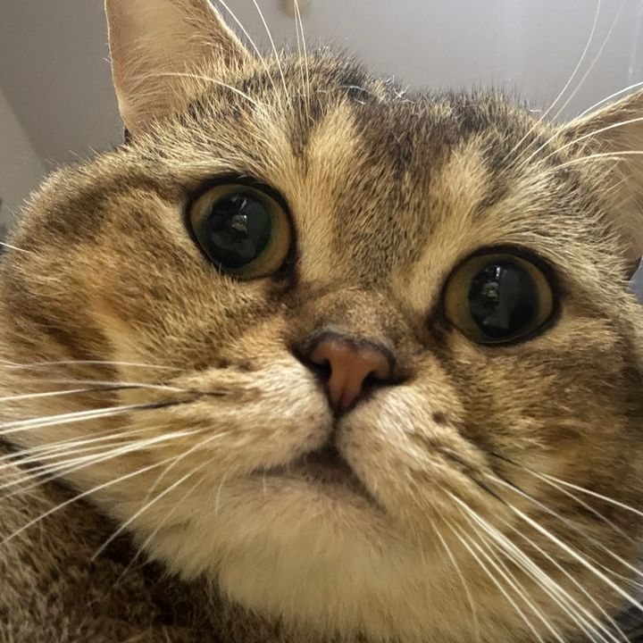 บ้านกล่องจุ่ม v.4📦