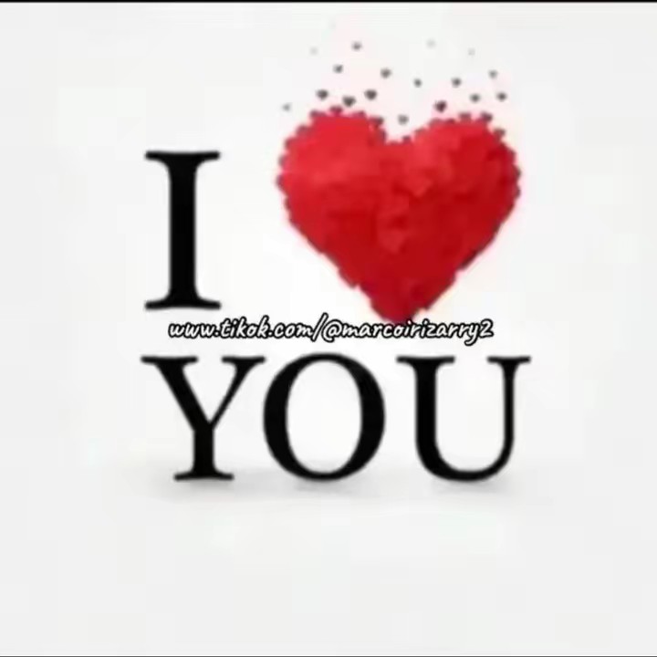 marcoirizarry2