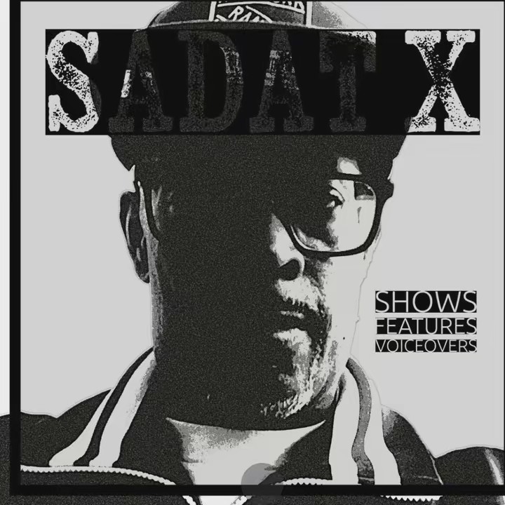 Sadat X
