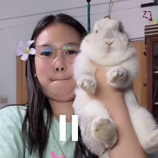 เลิฟลี่ กระต่ายสายลับ