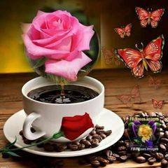 Yanely Contreras Calderon