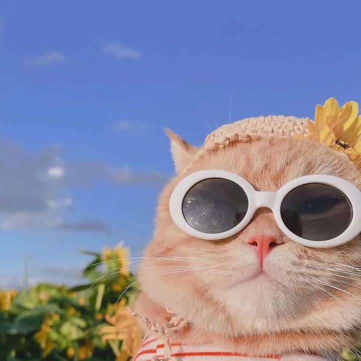 Maira-Press On Nails💅