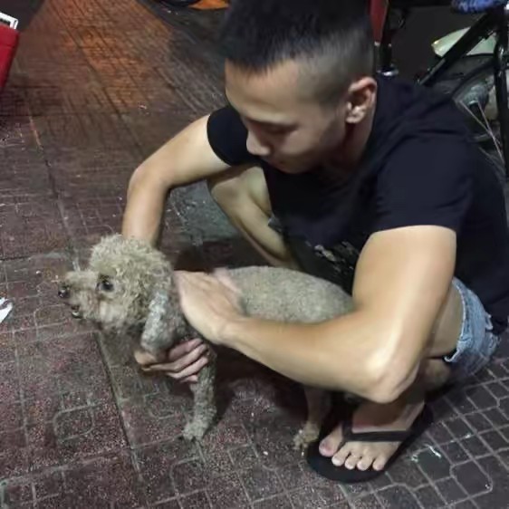 Lót Cốp Xe Tay Ga Của Bạn