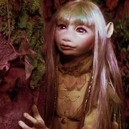 𝘫𝘦𝘭𝘭𝘺𝘧𝘪𝘴𝘩 🪼☆*:+