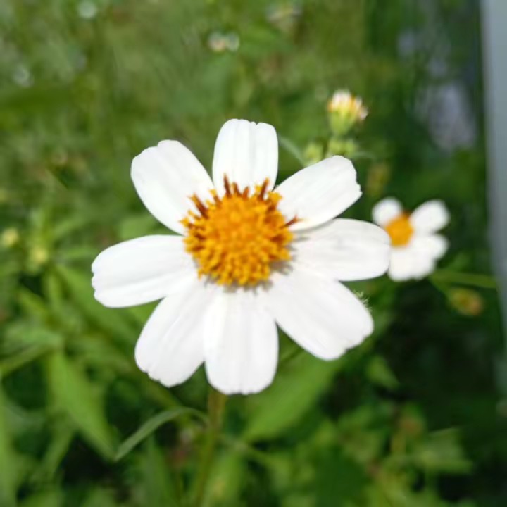 ของดีอีชะนีต้องบอกต่อ