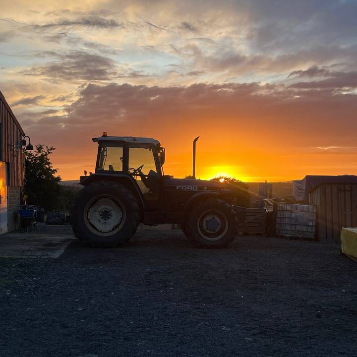 Dom 5️⃣4️⃣5️⃣5️⃣