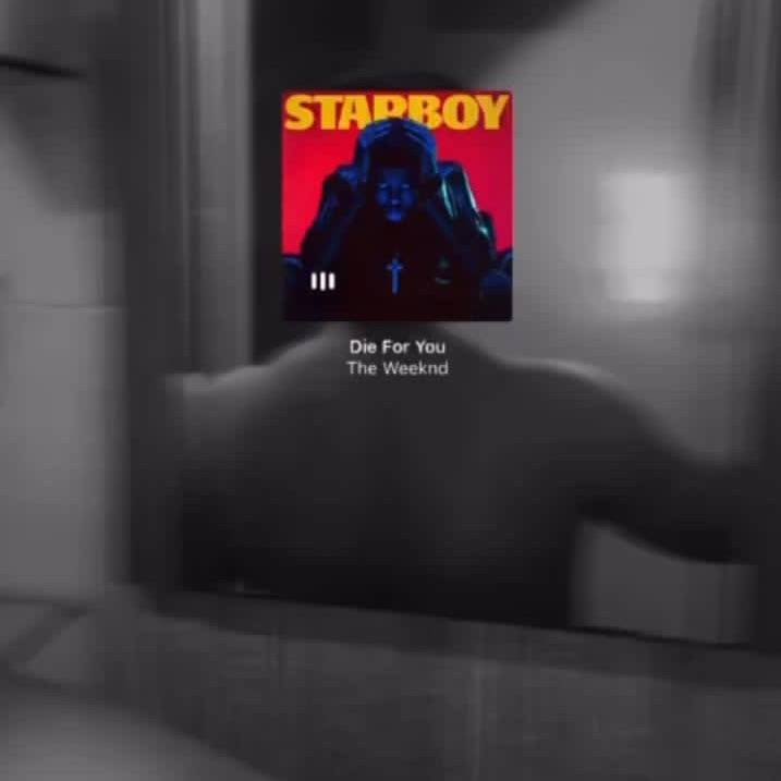 𝐏𝐨𝐥𝐥𝐨 𝐞𝐱𝐨𝐭𝐢𝐜 🐥