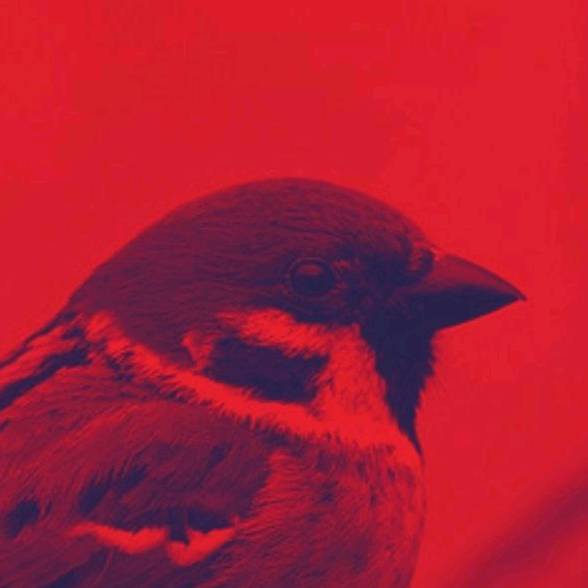 ГОРОБЧИК🐦‍⬛