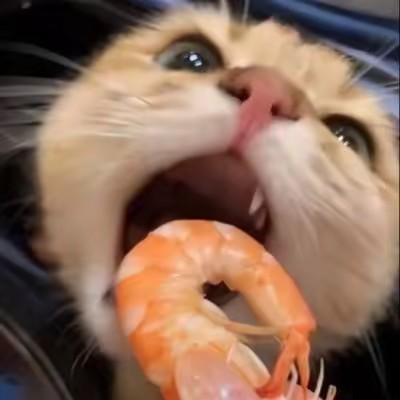 แงวอีทจุ้ง🍤