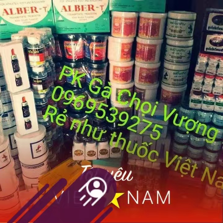 PK gà chọi Vượng Râu
