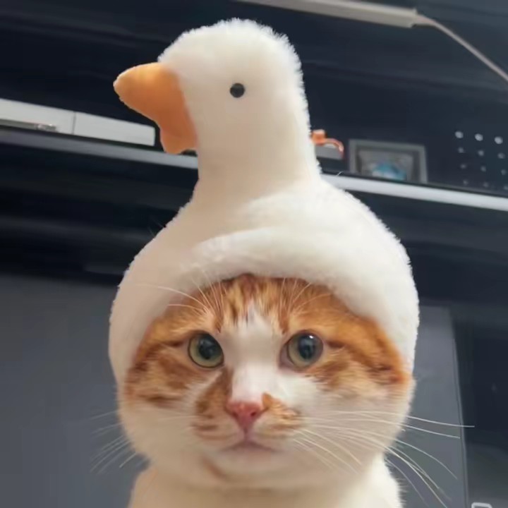 Sora Kangnam - Quần tất Hàn