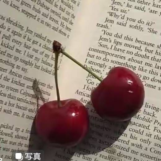 🎀🫧ミルクティー🥹💕