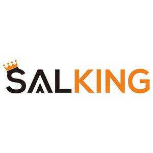SALKING INC