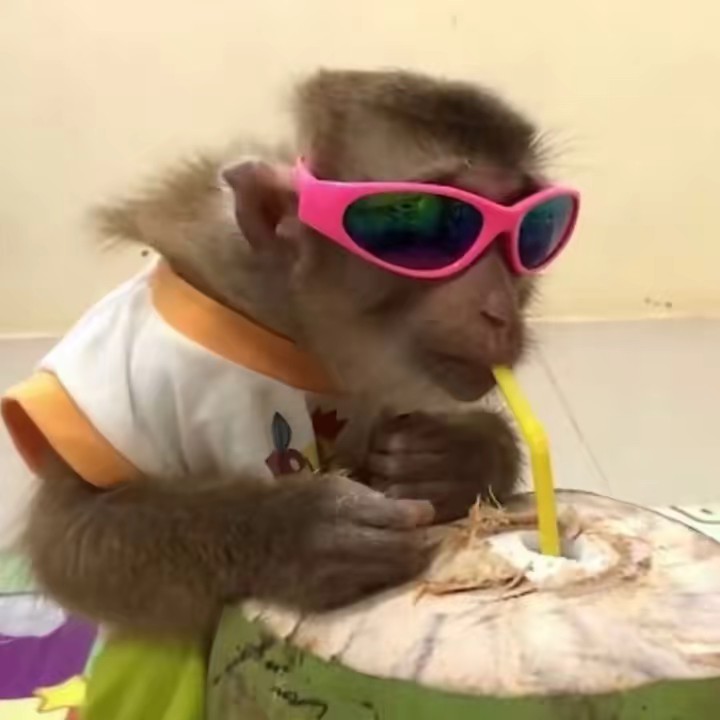 . ݁₊ ⊹ . ݁ ⟡ ݁ .