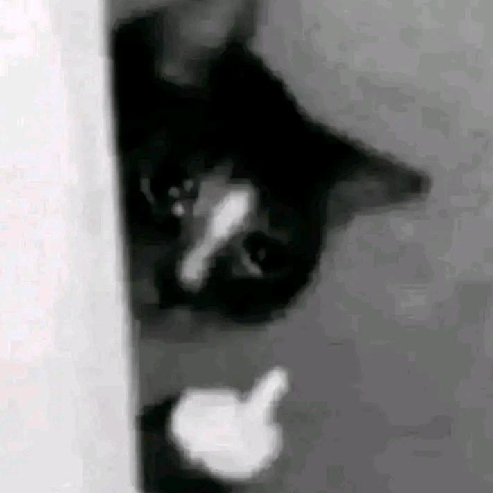 Kevin- RBY :) 🧘🏻‍♂️