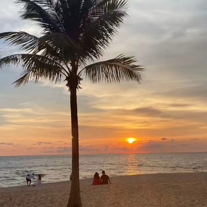 Ngọc Hân Chè Thái Nguyên