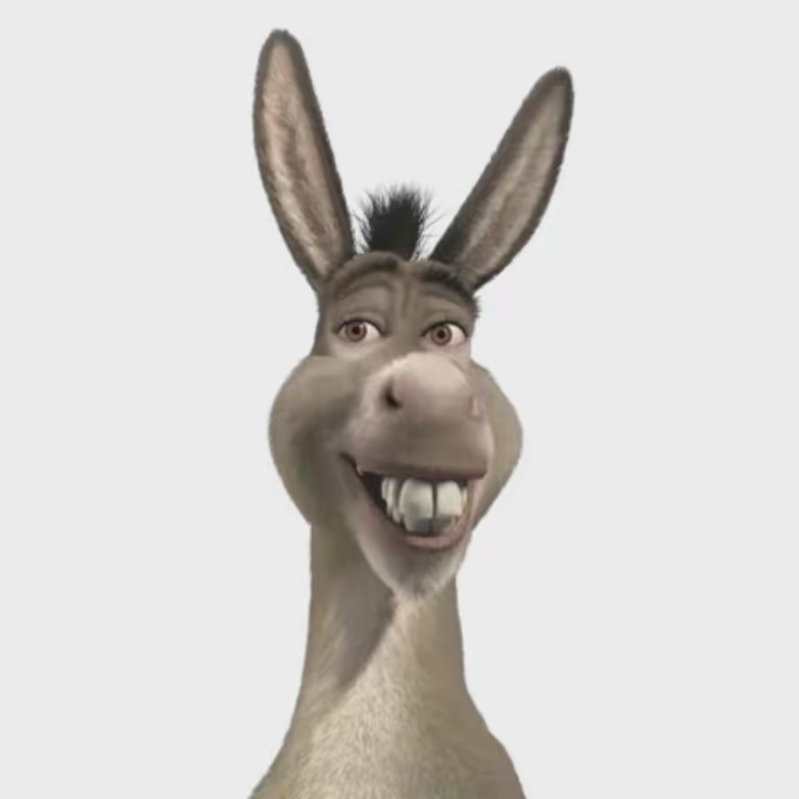 slopbogbinky