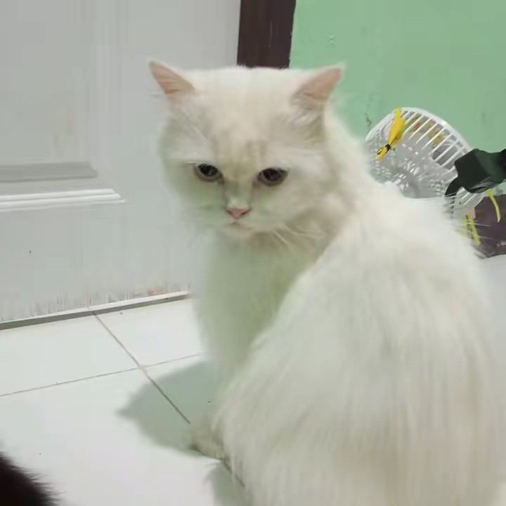 สุพัตรา