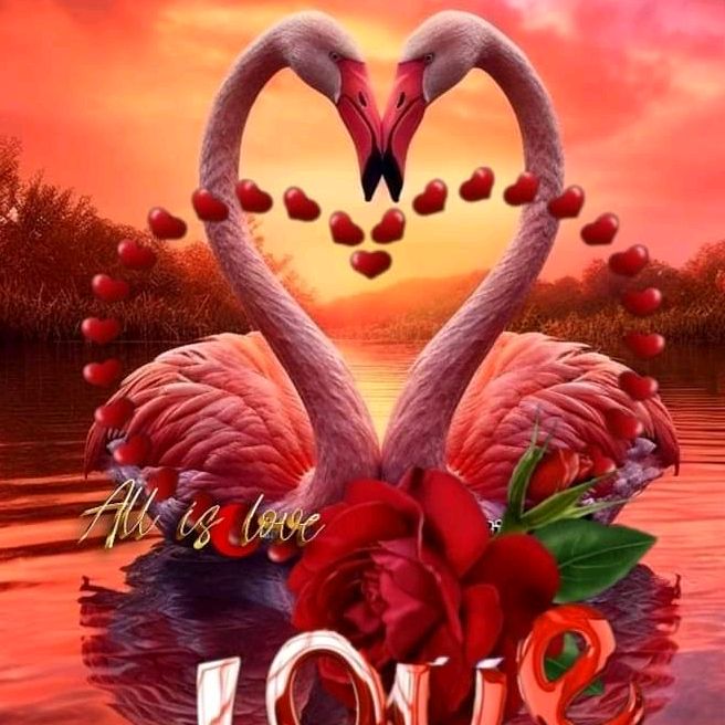 👉Mashooru siraajbro👈