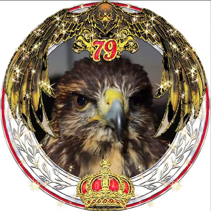 11/11 23h⚔️🦅凪雲のsora☁🌳北海道鷹匠