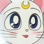 (ﾉ◕ヮ◕)ﾉ*:･ﾟ✧