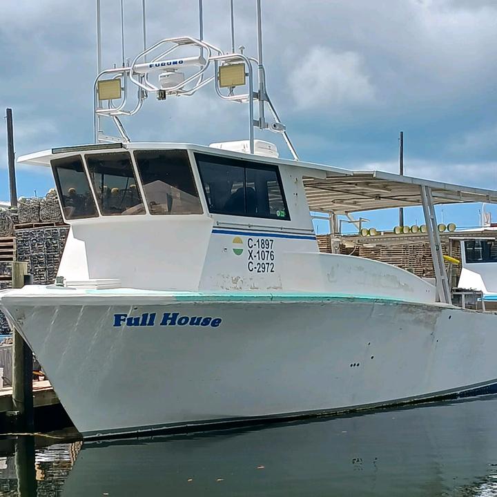 🇳🇮 El"🍃🍊Duke"🍋🍃 🥑....