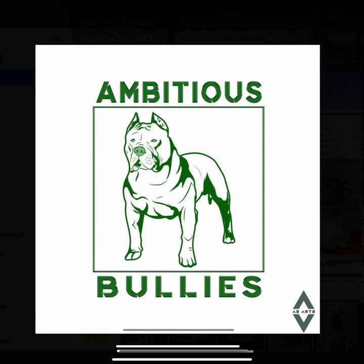 ambitious_Bullies