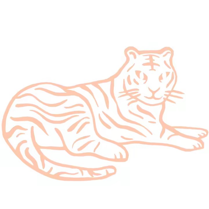 Tigre Jewelry