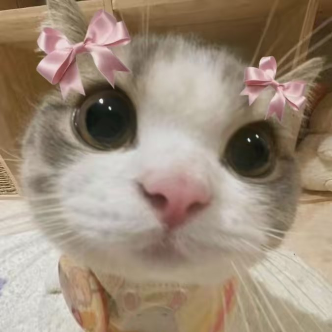 itzz_me_diana 𐙚 ˚