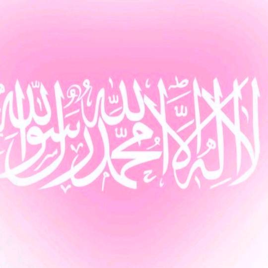 ❤️🌺تَسْنِيم🌺❤️