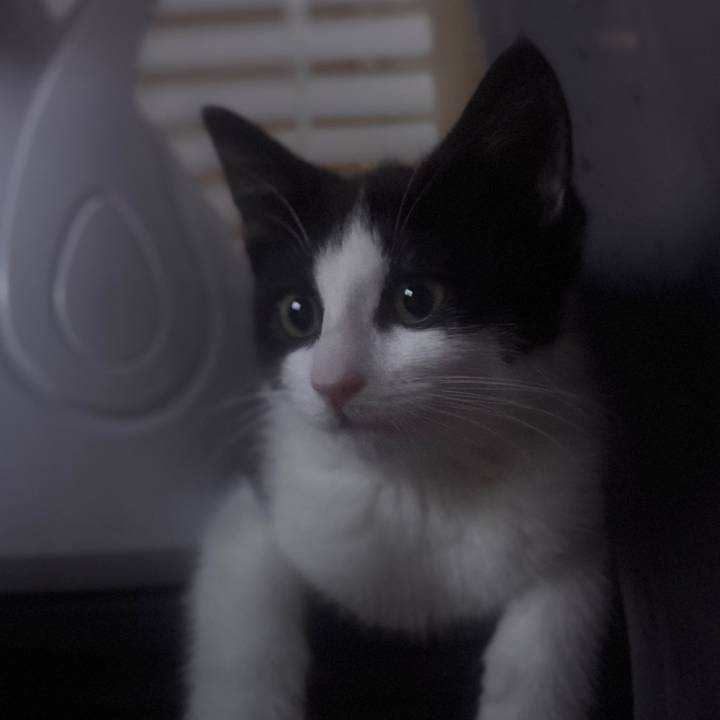 tia-caitlin ⸆⸉ ོ