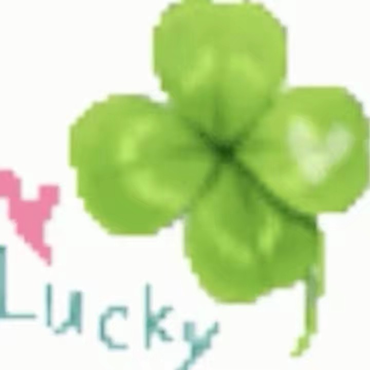 jarin🍀𓆝 𓆟 𓆞