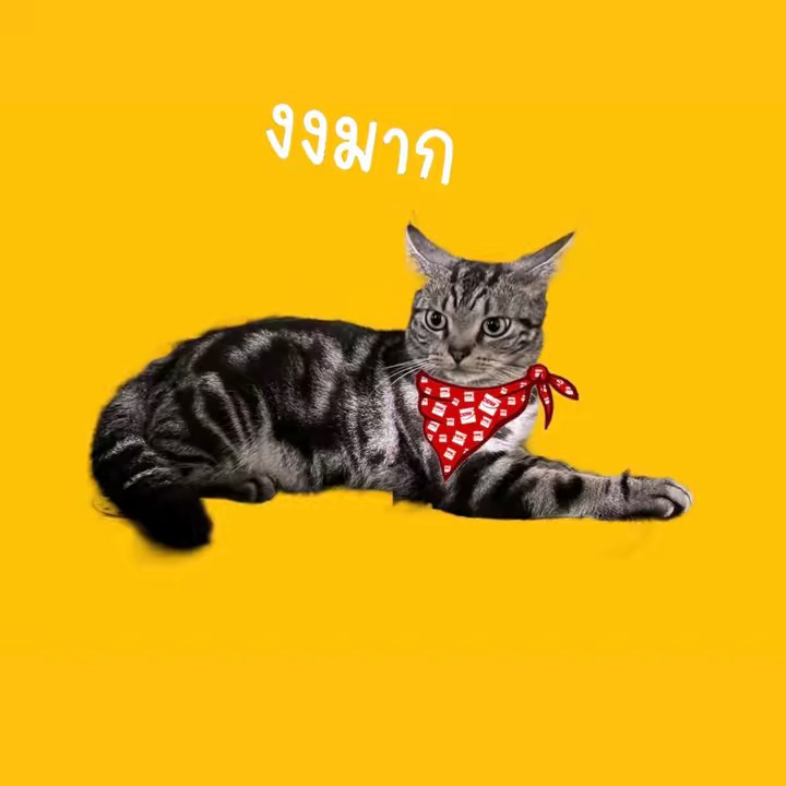 ก๋ ว ย เ ตี๋ ย ว