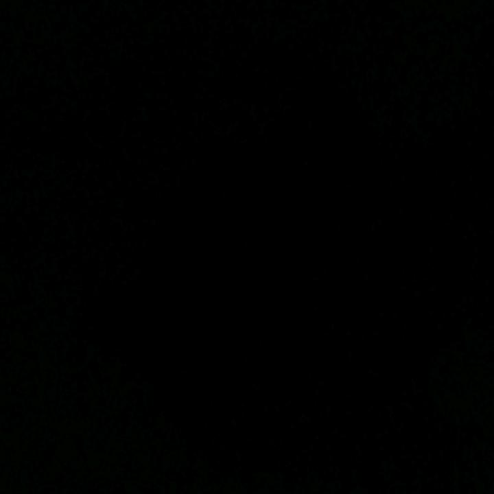 BANYUWANGI ♊️  GEMINI