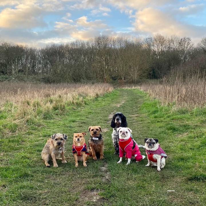 Claudia’s Doggy Club