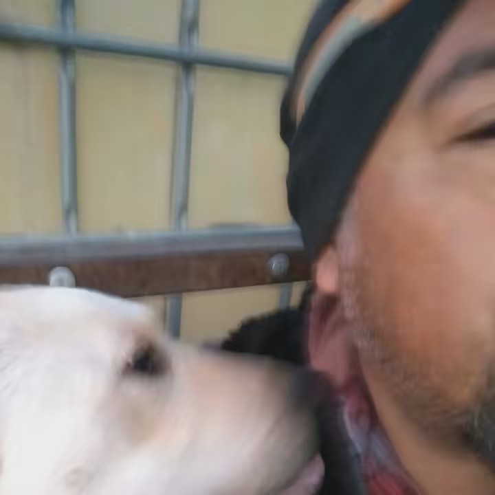 Enrique Jesús Morales Rodríguez