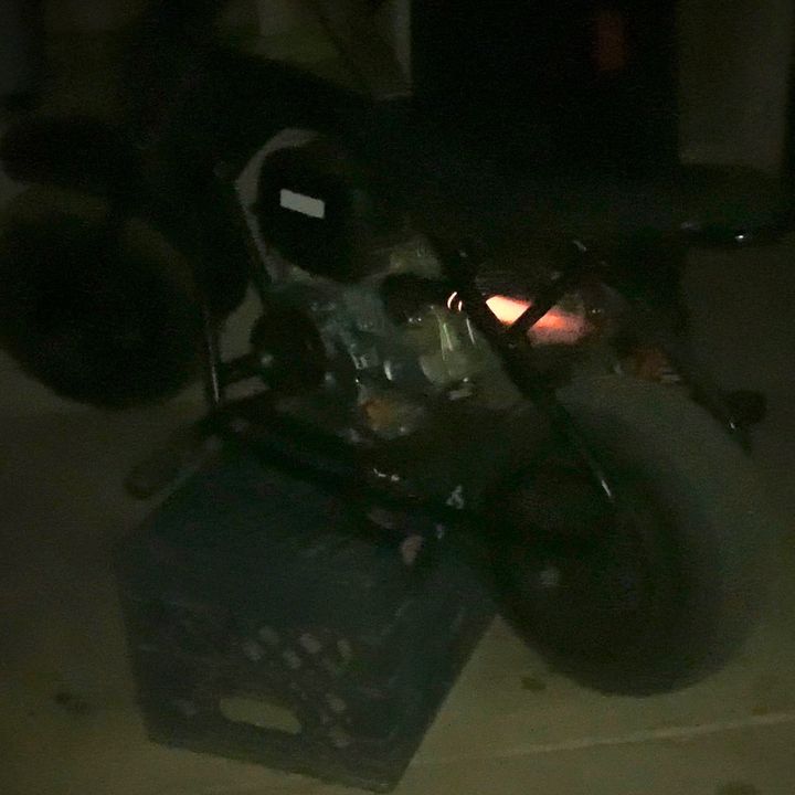 carlitostookthetaquitos