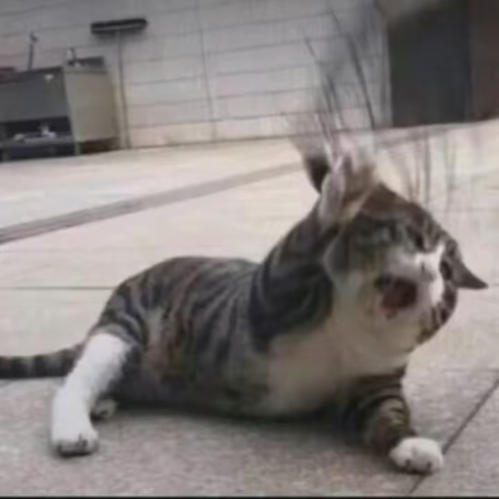 ✔🏳️‍🌈💖