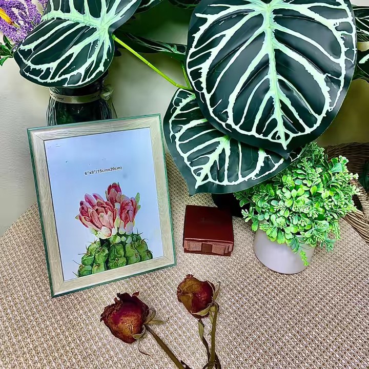 รักการรีวิว