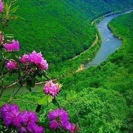 Rodógt✡️✡️✡️